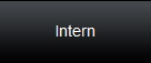 Intern